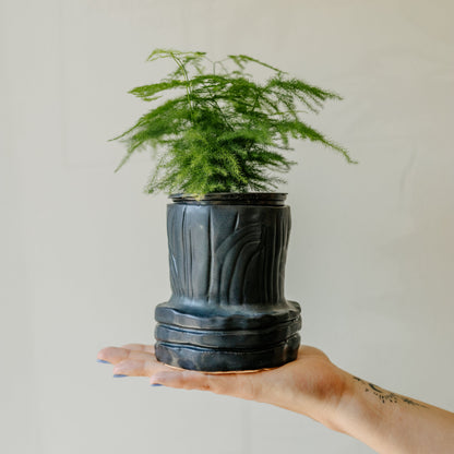 Plant And Planter Workshop