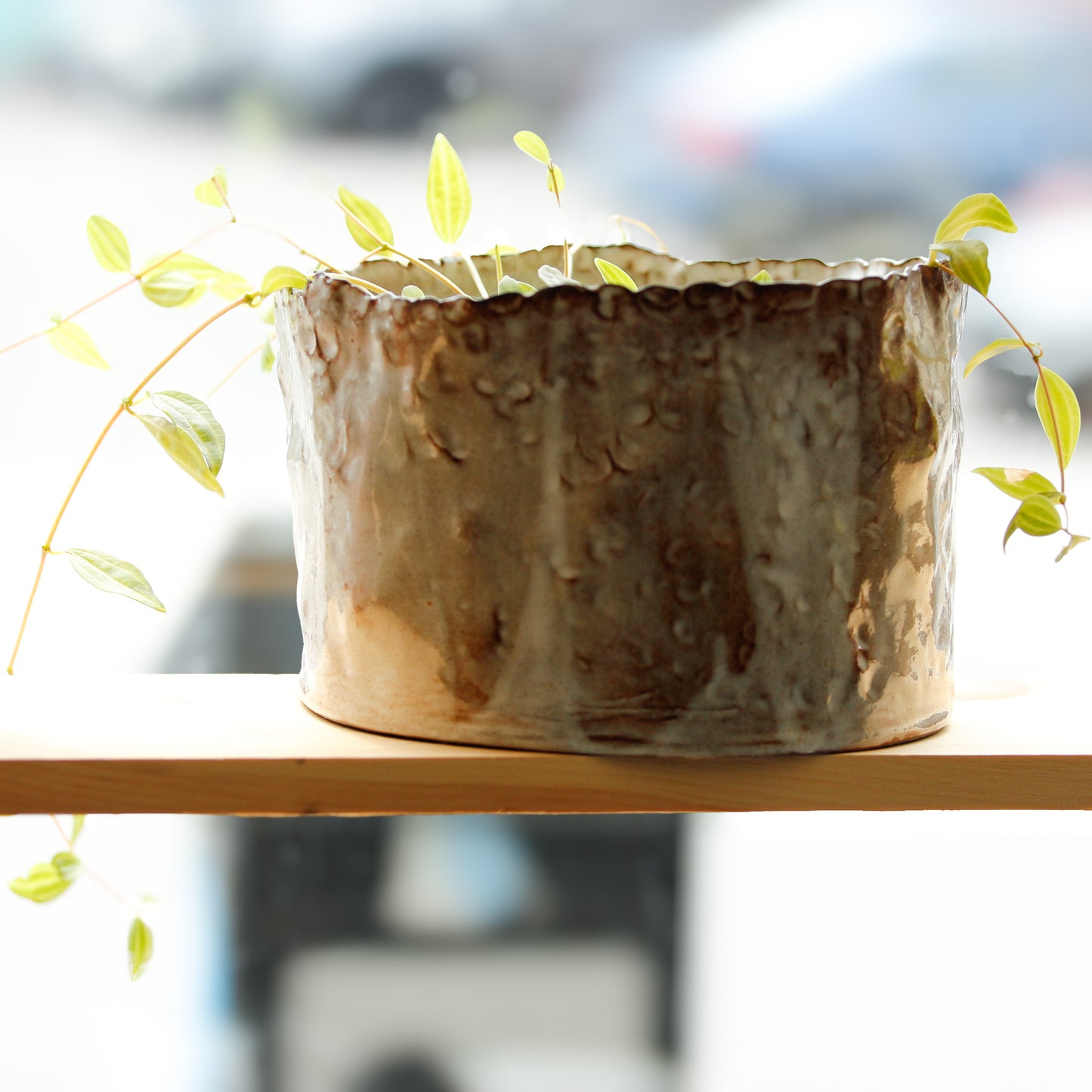 Ceramic Bronze Planter - Atelier Forma