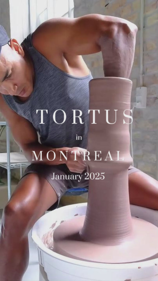 MASTERCLASS DE DEUX JOURS AVEC TORTUS